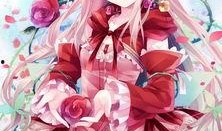 二次元最新爆料在哪看呀,二次元最新爆料，独家观看指南大公开！